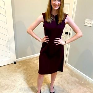 MM La Fleur Burgundy dress Work perfect size 6